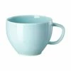 Rosenthal Kombi-Obertasse 0,28 L Junto Opal Green